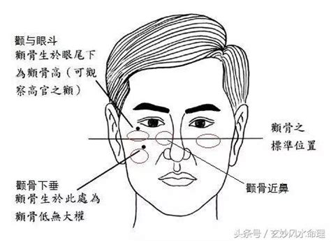 顴骨斑面相|【顴骨斑面相】你的顴骨斑點透露什麼？從「顴骨斑面相」窺探健。